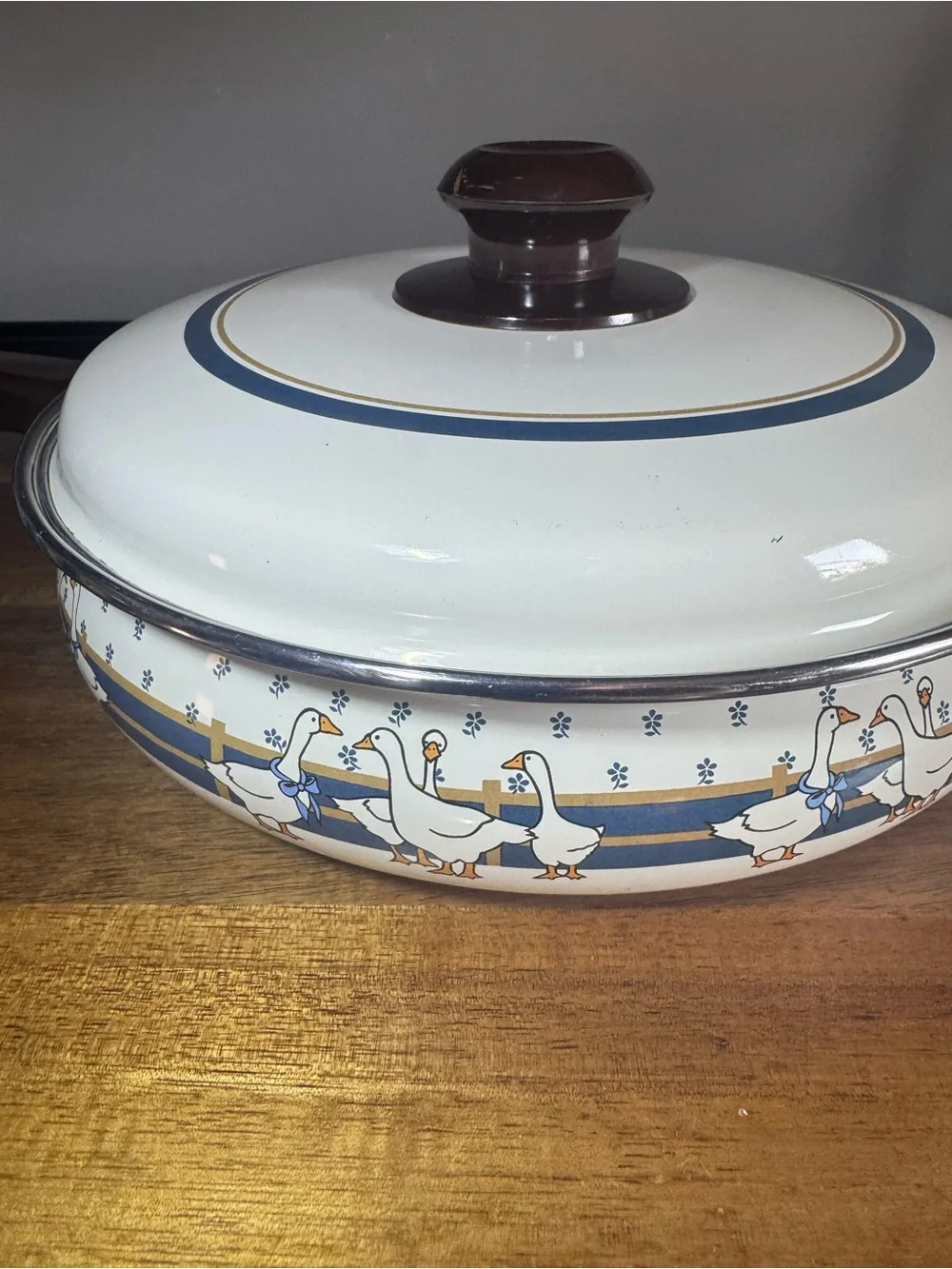Vintage Country Goose Enamel 9